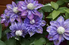 _DSC8359.webp