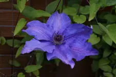_DSC8357.webp