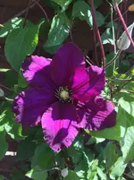 image.webp