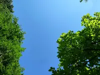 P1060464.webp