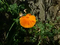 P1060466.webp