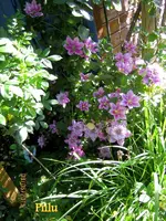 IMG_4934-001.webp