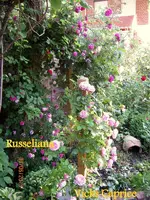 IMG_4943-001.webp