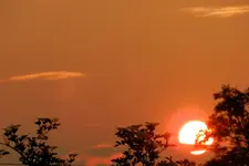 DSCN5698.webp