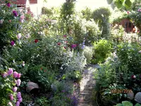 IMG_4944-001.webp