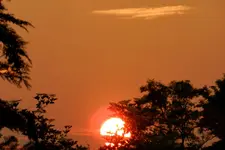 DSCN5700.webp