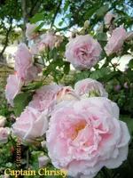 IMG_4998-001.webp