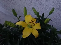 DSC01730.webp