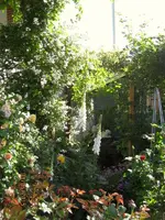 IMG_4964-001.webp