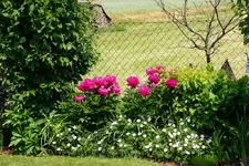 DSC01952.webp