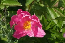 DSC01958.webp