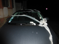 P1350703.webp