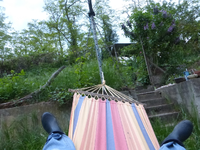 P1360338.webp