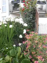 DSCN2503.webp