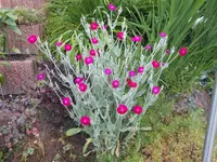 DSCN2499.webp