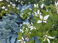 DSCN2498.webp