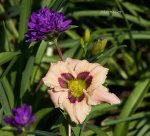 IMG_9128.jpg