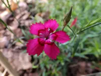DSCF9310.webp