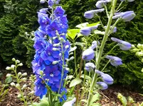 DSCF9303.webp