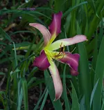 IMG_9163.jpg