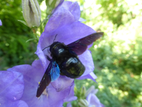 P1420361.webp