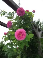 014.webp