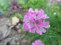 P1390353.webp