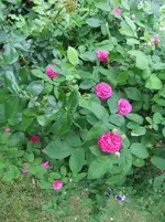 023.webp