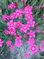 P1420040.webp