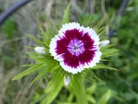 P1420152.webp