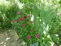P1420616.webp