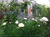 055.webp