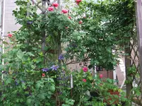 063.webp