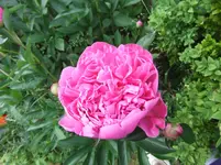 053.webp