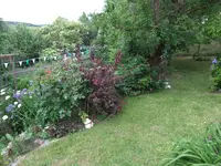 027.webp