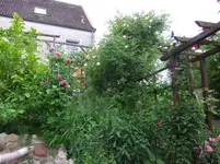 043.webp