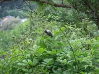 002.webp