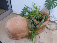 P1420410.webp