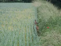 DSCF3859.webp