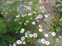 003.webp