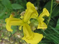 008.webp