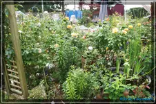 comp_DSC03714.webp