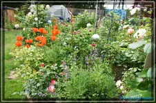 comp_DSC03715.webp