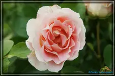 comp_DSC03713.webp