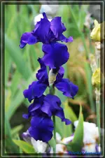comp_DSC03721.webp
