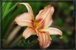 comp_DSC03717.jpg