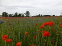 DSCF9128.webp