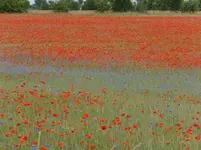 DSCF9182.webp