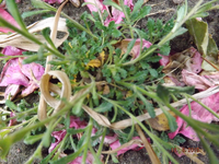 DSCF6281l.webp