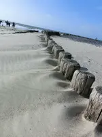 CIMG0522.jpg